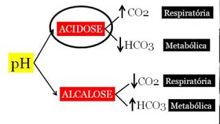 Entenda Gasometria - PARTE 2 (Vídeo aula)