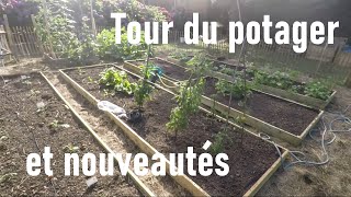 Août : tour du potager et nouveautés