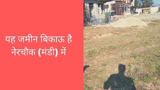 Plot For Sale Nerchowk Mandi (HP) | यह 5 Biswa जमीन बिकाऊ है। नेरचौक में। (यह जमीन बिक चुकीं है)