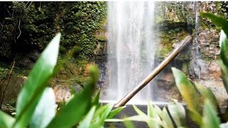 Sleeping sounds | #waterfall #water#rainsounds#rain#sleepingmusic#relaxing#relaxingsounds