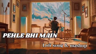 PEHLE BHI MAIN (Gravero Revibe) ｜ VISHAL MISHRA  | ANIMAL