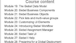 Siebel Business Analyst Online Training