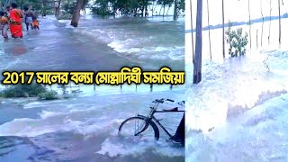 2017 সালের বন্যা মোল্লাদিঘী সমজিয়া | 2017 Flood Molladighi Samjia মোল্লাদিঘী কুমারগঞ্জ