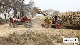 Massey & Belarus Tractor Full Suggrance Load Trolly || Trolly Phans gi