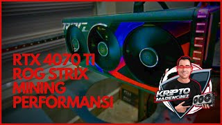 7 Ayrı Algoritmada 4070 Ti Mining Performansı | Ekran Kartı Madenciliği