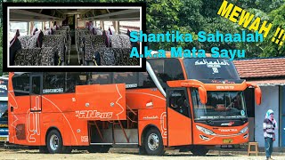 Cinematic Bus ~ New Shantika BIG TOP - Seri 2C a.k.a Mata Sayu - Seat Tebal nan Nyaman