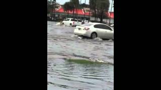 Rain in Tampa 8/1/15