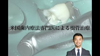 Non-surgical root canal treatment. 非外科根管治療  6┓＃30