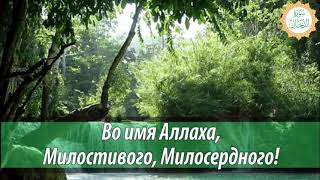 СУРА МУЛЬК ПЕРЕД СНОМ СТИРАЕТ ГРЕХИ, ОЧИЩАЕТ ДУШУ НА ЗАВТРА, УСПОКАИВАЕТ - СПОКОЙНЫЙ СОН  #КОРАН