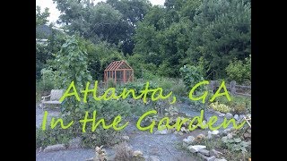 Blue Heron Community Garden Atlanta, GA