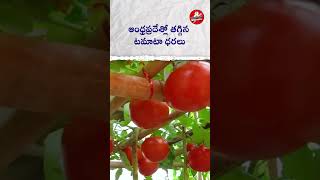 Tomato Price Relief: Consumers Rejoice as Andhra Pradesh Sees Market Stabilization #tomatoprices