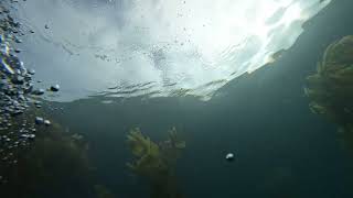 Anacapa Island