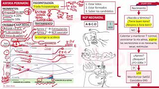 ASFIXIA PERINATAL /NEONATOLOGÍA ENAM 2020