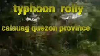 ROLLY/Super typoon landfall  signal #4 /rolly/at calauag quezon province/update