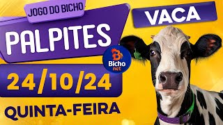 PALPITE DO DIA 24/10/2024 - JOGO DO BICHO 🍀 TODAS AS LOTERIAS 🍀