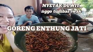 NYETAK DUWIT NGGO TUMBAS IWAK ☑️ GORENG ENTHUNG JATI  ‼️