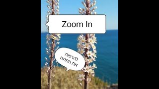 עם דלית אליהו  ZOOM IN להרפות את המתח - הדגמה מאלפת של הפסיכולוגיה הרוחנית בפעולה!