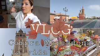 Compra de Mercadona + Os enseño mi Triana y Sevilla + Receta patatas guisadas