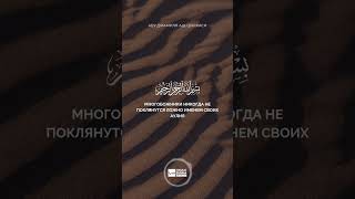 Многобожники никогда не поклянутся ложно именем своих аулия - Абу Джамиля аш-Шаркаси