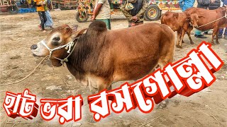 জাদুরানি হাটে শুধু ছোট গরু || হাটে হাটাহাটি ০১ || Purbasha Agro