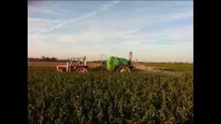 azienda agricola fratelli castiglione lavori agricoli 2013 prima parte