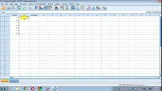 HOW TO ENTER THE DATA IN SPSS