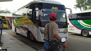 Minggu Pagi 18 Juni 2023 Padet Rame di Terminal Tanjung Brebes Bus Dewi Sri & Dedi Jaya