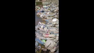 [CINCO AÑOS y TODO SIGUE IGUAL] Botellas de plástico contaminan la desembocadura del Segura