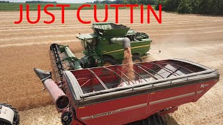 Cutting wheat and fillin her up