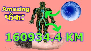 The World's Longest Tunnel is in Our Body 😮 160934.4 KM  | Facts 🦇