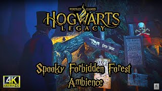 "Spooky Forbidden Forest Ambience | Haunted Sounds of Hogwarts Legacy"