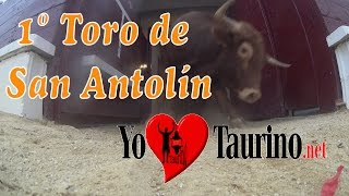 1º Toro San Antoín Medina del Campo