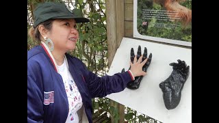 NAMASYAL, NAG EXERCISE AT NAG ENJOY SA MGA UNGGOY SA ZOO (Let the children watch.)