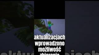 Codzienne Ciekawostki o Minecraft #minecraft