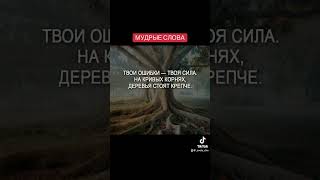 МУДРЫЕ СЛОВА #светланачернобривец #мудрыеслова  #мудрость