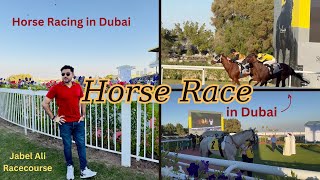 Horse Race in Dubai | Jabel Ali Racecourse | Horse Racing Vlog | Horse Race | DK Official