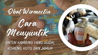 CARA SUNTIK WORMECTIN PADA KAMBING yang terkena gudik, koreng,kutu, jamur  || ternak kambing