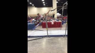 Mia Viola Bars 2016 Level 8