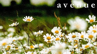 Avenue - A House Party in Bristol (Lyric Video)