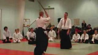 Aikido and aikiken seminar class by Stefan Stenudd in 2005