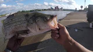 PB Stiper on Ohio river,5-30-19