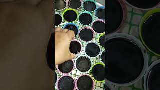 50 pcs Black Kutsinta gamit ang powder na food color #kakanin #blackkutsinta