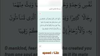 Daily Quran recitation shorts