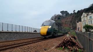 Dawlish (28/1/2023)