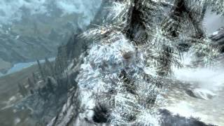 The Elder Scroll V Skyrim Ice Glitch