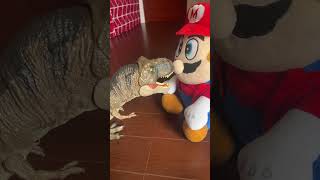 Dino mistakens mario to peach!