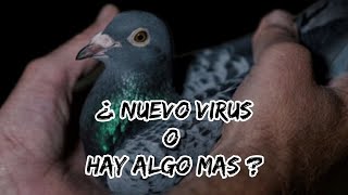 Hipersensibilidad electromagnética = ( nuevo virus ).