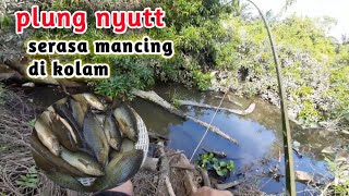 MANCING IKAN !! PLUNG NYUT SERASA MANCING DI KOLAM