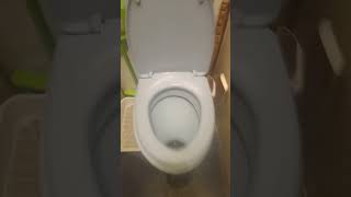 skibidi toilet 45