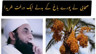 Ek Sahabi Ne Poorey Baagh Ke Badle Ek Darakht Khareeda Molana Tariq Jameel Sahab -مولانا طارق جمیل